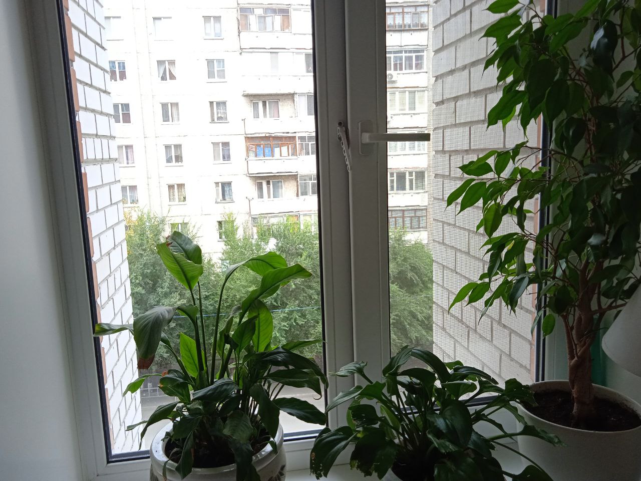 https://sterlitamak.delaem-okna.ru/storage/app/uploads/public/63f/332/8c0/63f3328c0d6f7867060515.jpg